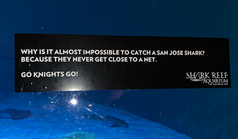 Shark Reef giving shade to San Jose Sharks during playoffs