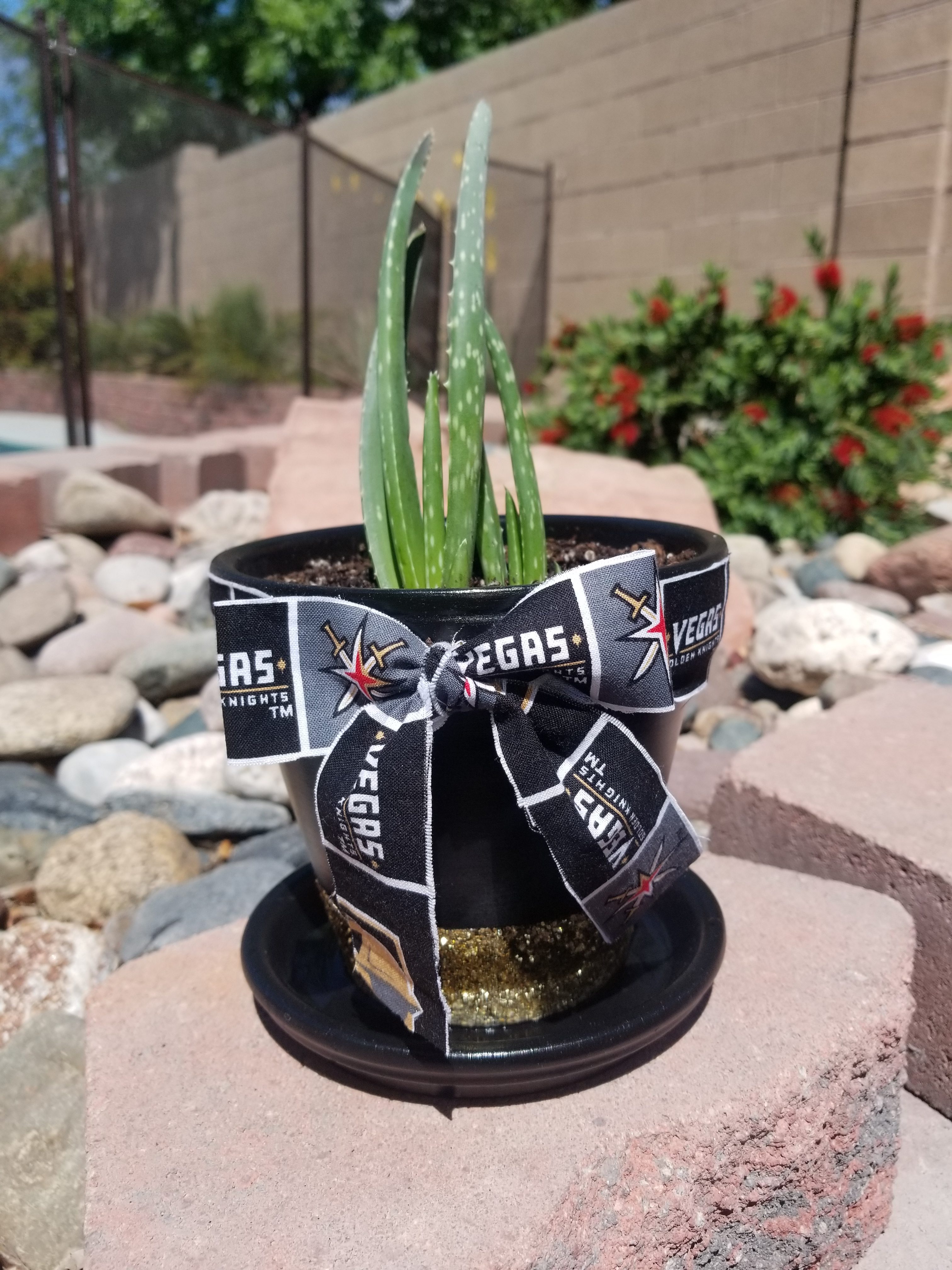 Vegas Golden Knights themed pot for Teacher Appreciation